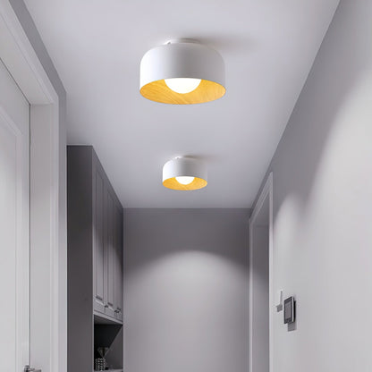 Compact Wood-Look Sphere Ceiling Light / ∅ 8.7″ x H 5.1″ / White