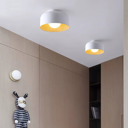 Compact Wood-Look Sphere Ceiling Light