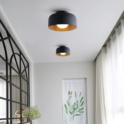 Compact Wood-Look Sphere Ceiling Light